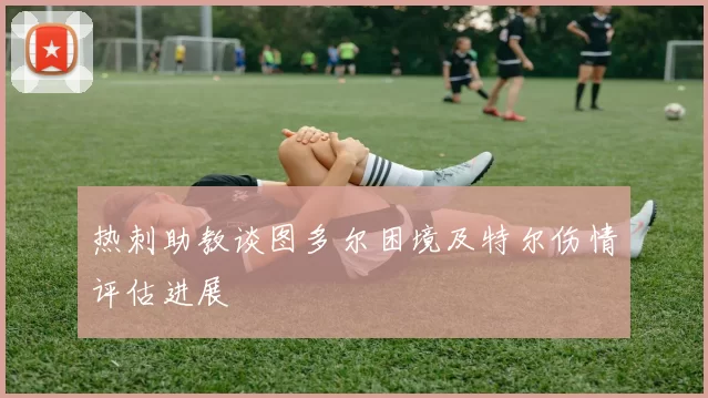 热刺助教谈图多尔困境及特尔伤情评估进展