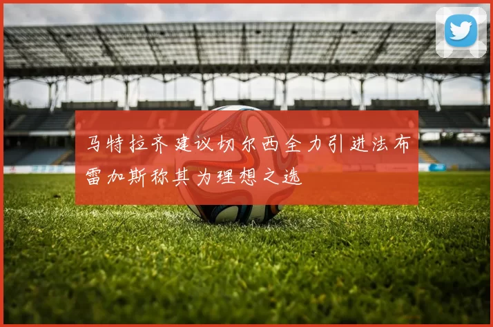 马特拉齐建议切尔西全力引进法布雷加斯称其为理想之选