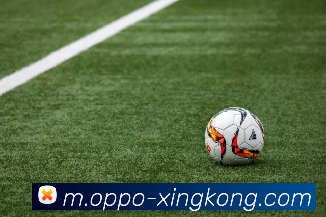 星空体育服务体系