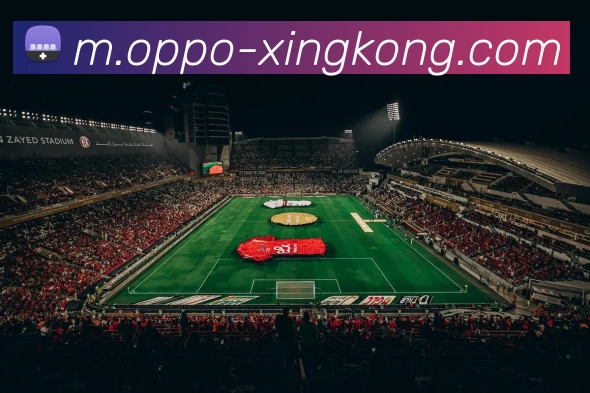 App 展示图